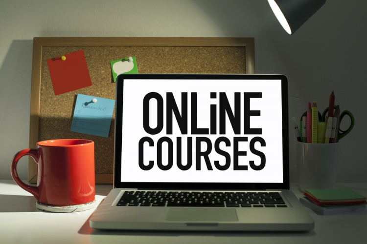 Online training course - Leader in Youth Exchanges