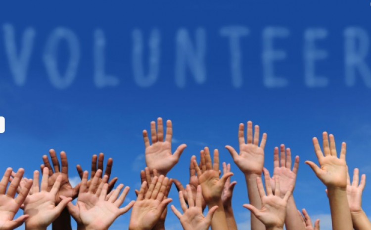 Međunarodni sekretarijat SCI (Service Civil International) traži volontera na projektu u Belgiji