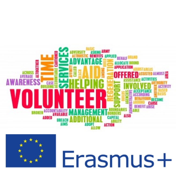 European Voluntary Service (EVS)